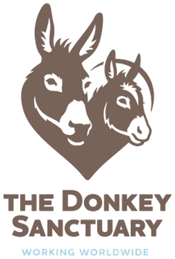 The Donkey Sanctuary logo