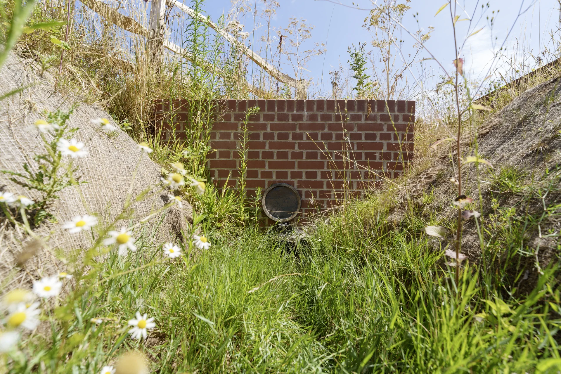 Brick headwall with an outfall pipe set into a grassy bank among wild flowers